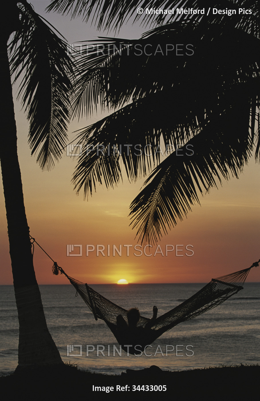 Sunset on beach with silhouetted hammock and palms; Costa Rica