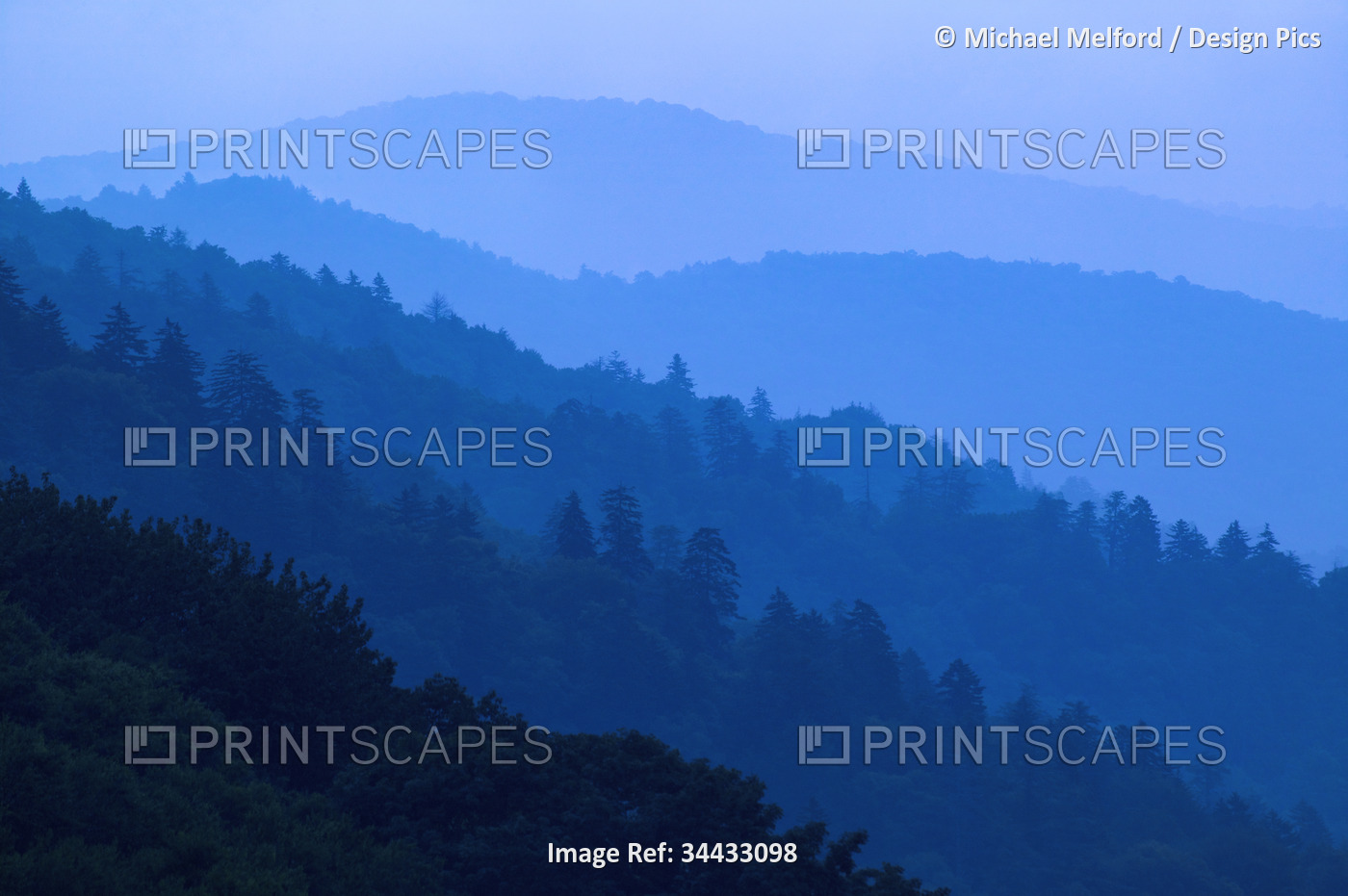 Silhouetted layers of forest and mountains in the fog, Great Smoky Mountains ...