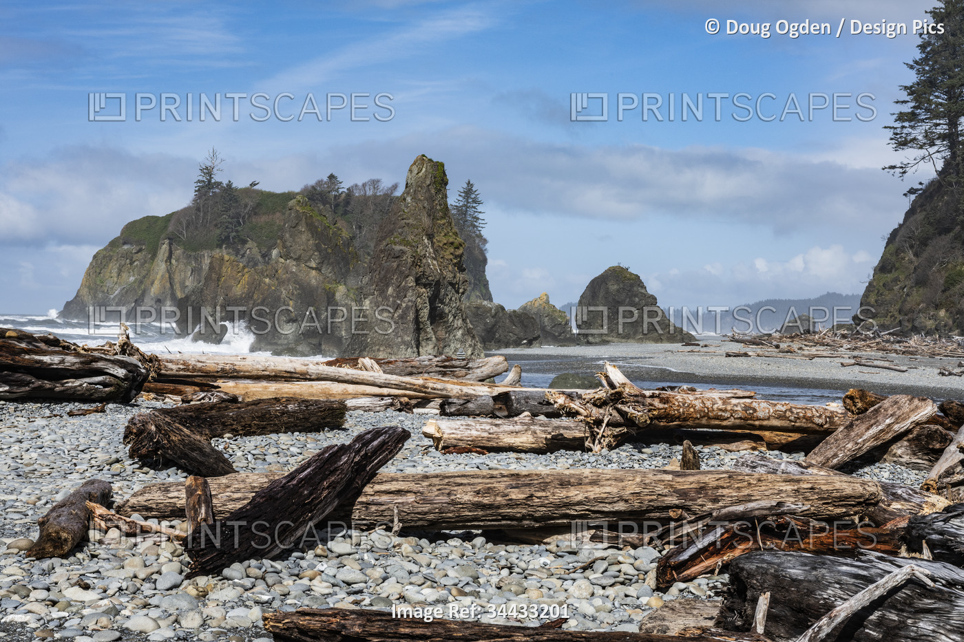 Driftwood and Sea Stacks at Ruby Beach in the Olympic National Park, ...