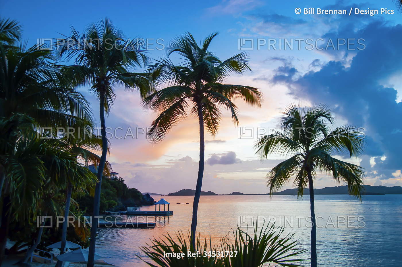 Sunset and palm trees on the Caribbean island of Saint Thomas, Virgin Islands; ...