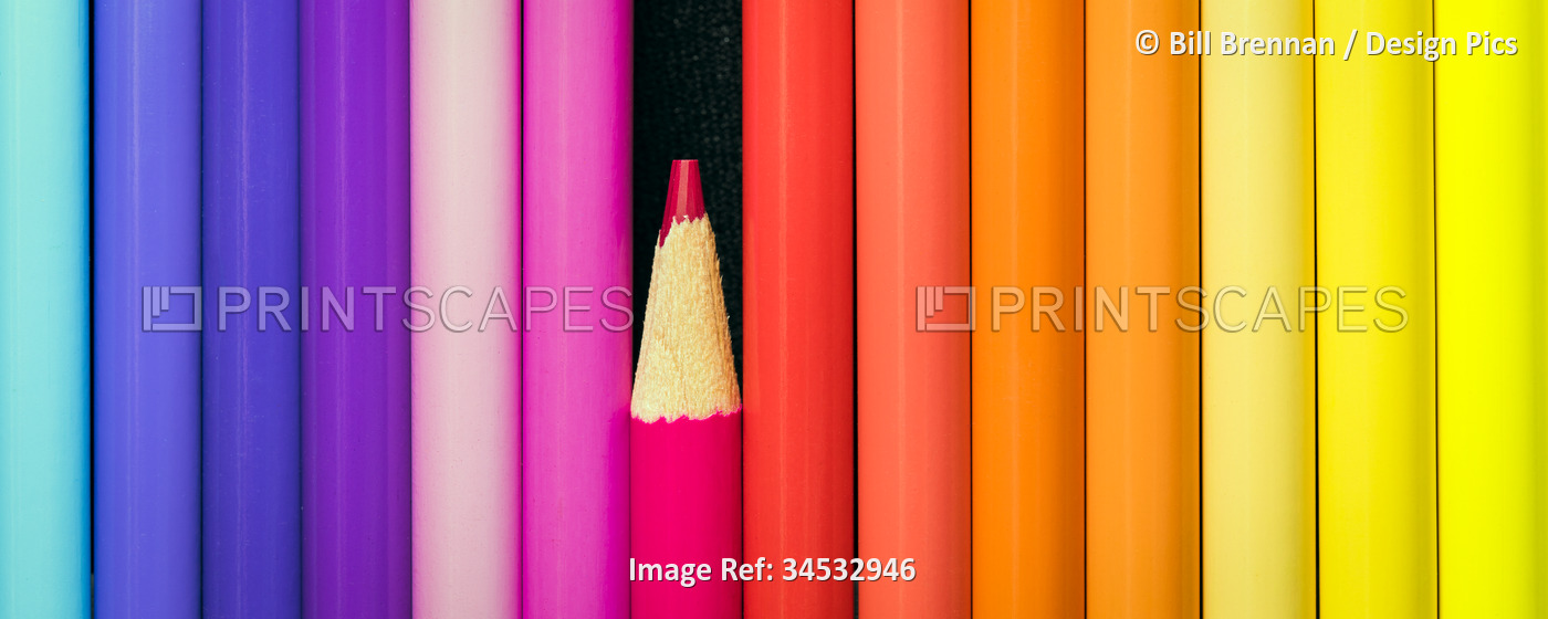 Pencil crayons in vibrant colors in a row; Studio
