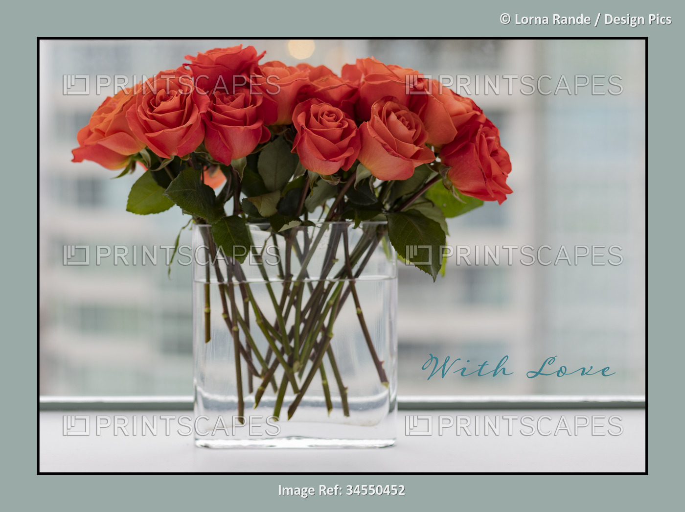 Close-up of a bouquet of coral roses in a glass vase by a window; Studio Shot