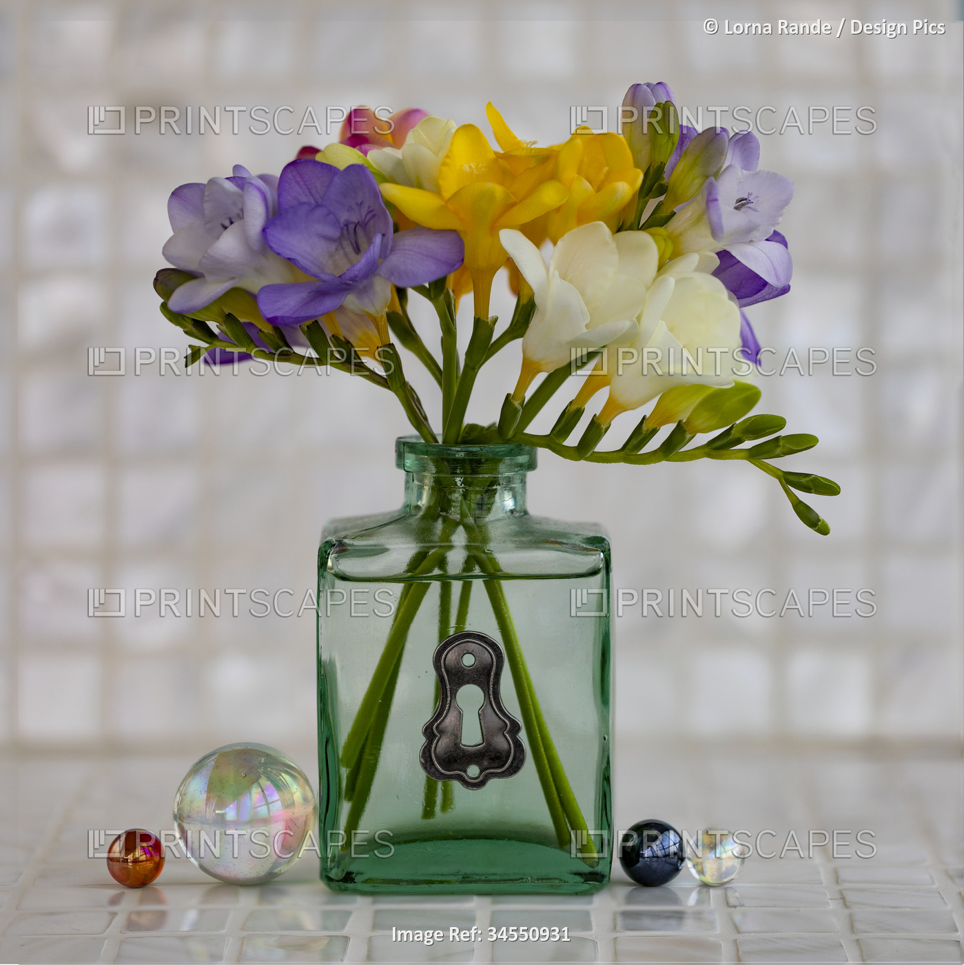 Freesias arranged in a glass vase; Studio