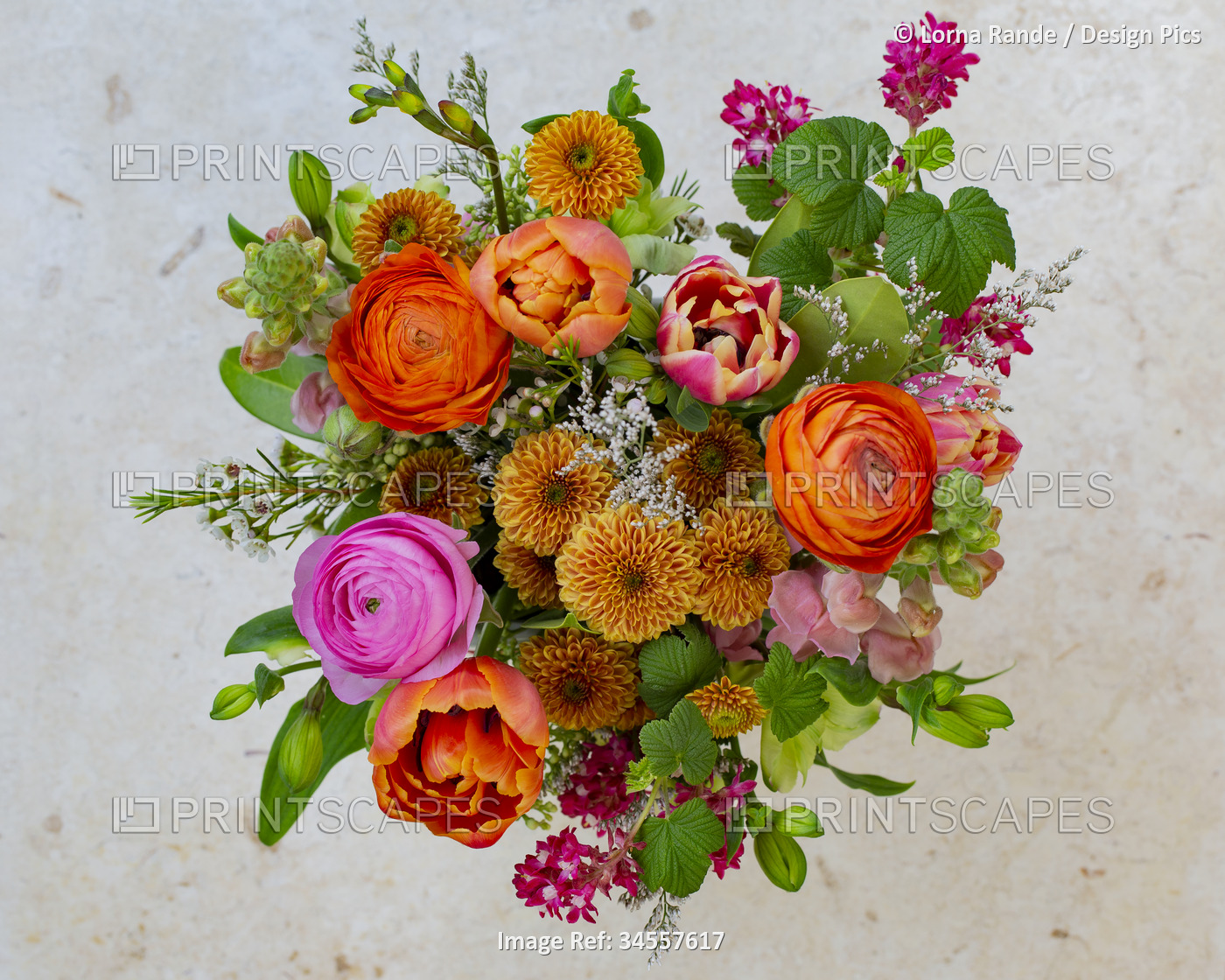 Colorful floral arrangement taken from above; Studio Shot