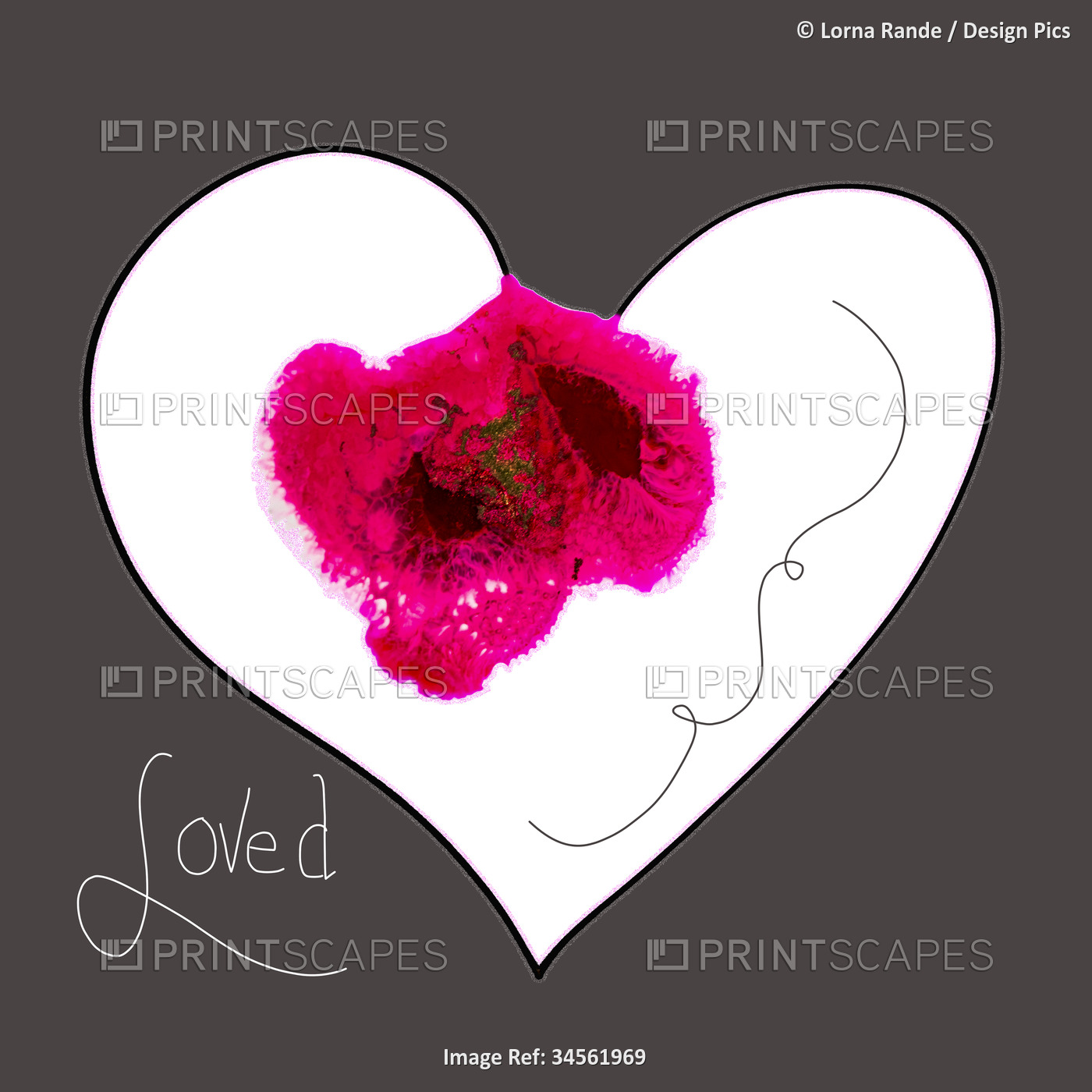 Ink art, Ink Hearts, with pink and red floral influences on a black background ...