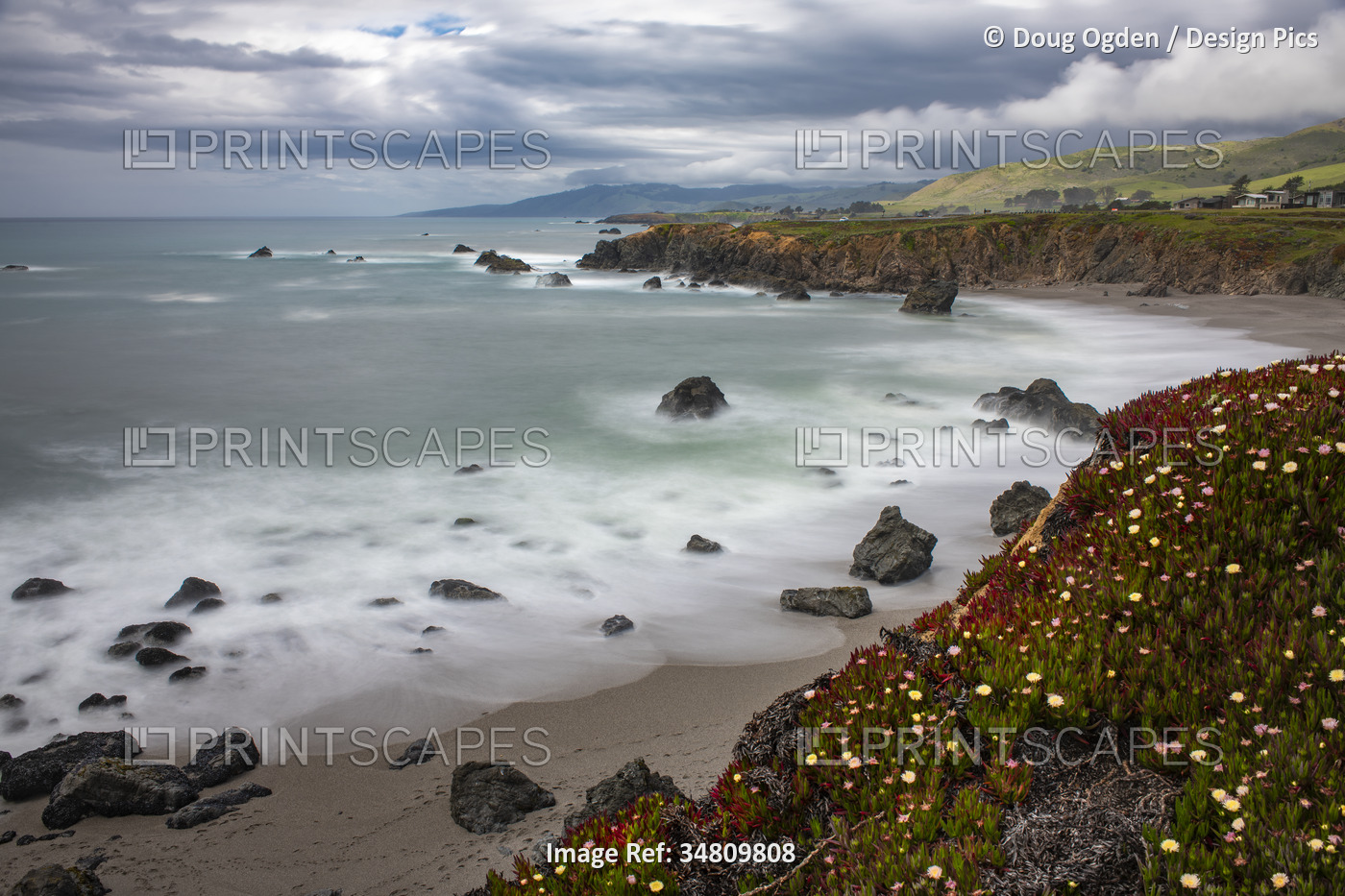Slow exposure of Pacific Ocean surf and Ice Plant (Aizoaceae) at Sereno del ...