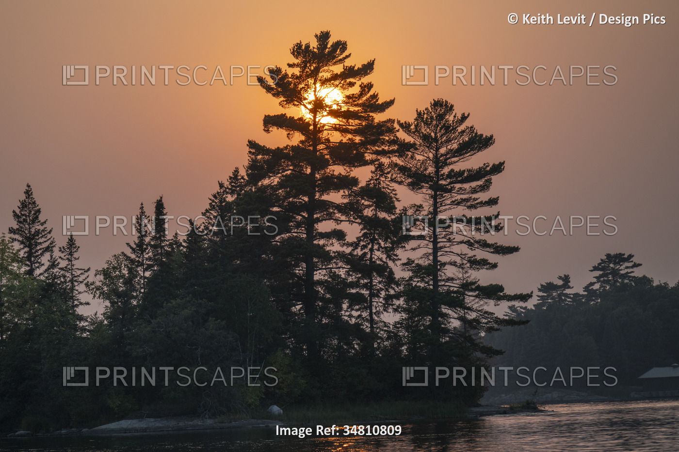 Dramatic sunset light over a lake with silhouetted trees along the shoreline; ...